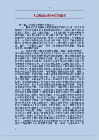 大众版企业财务自查报告