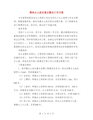 水土流失重点整治工作方案