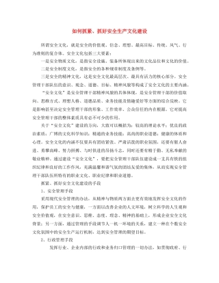 《安全文化》之如何抓紧、抓好安全生产文化建设 
