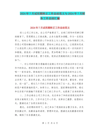 2024年7月试用期转正工作总结范文与2024年7月财务工作总结汇编