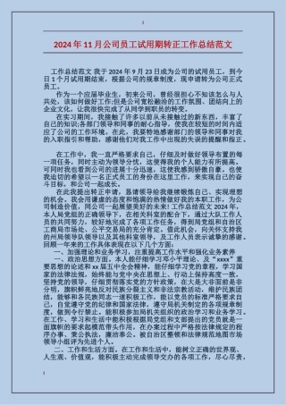 2017年11月公司员工试用期转正工作总结范文