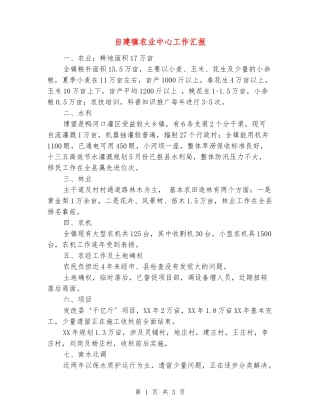 自建镇农业中心工作汇报