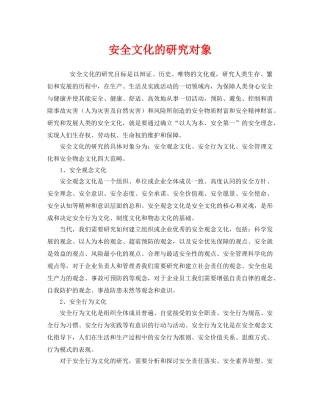 《安全文化》之安全文化的研究对象 