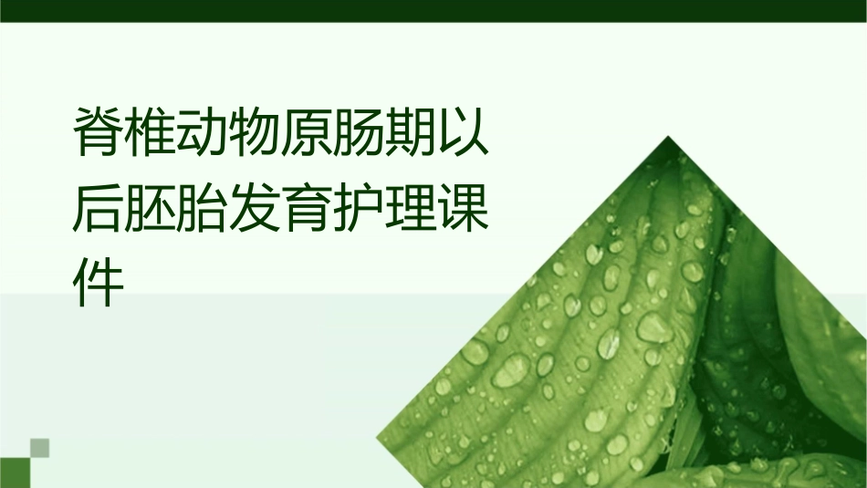 脊椎动物原肠期以后胚胎发育护理课件_第1页