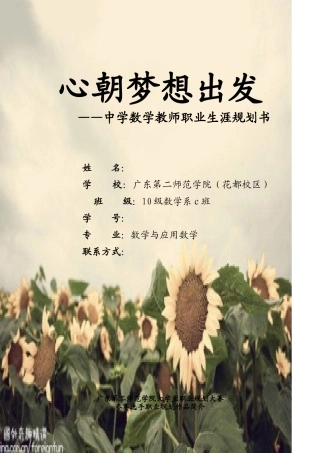 教师职业生涯规划书
