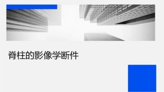 脊柱的影像学诊断课件