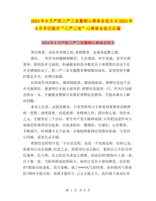 2024年8月严抓三严三实整顿心得体会范文与2024年8月书记践行“三严三实”心得体会范文汇编