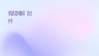颅骨及其连结系统解剖护理课件