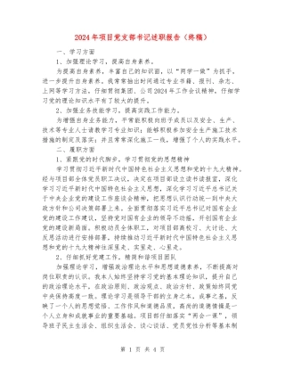 2024年项目党支部书记述职报告