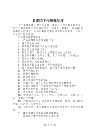 共青团工作规章制度管理