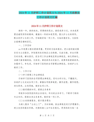 2024年11月护师工作计划范文与2024年11月政教处工作计划范文汇编