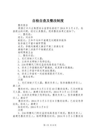 自检自查及整改规章制度细则