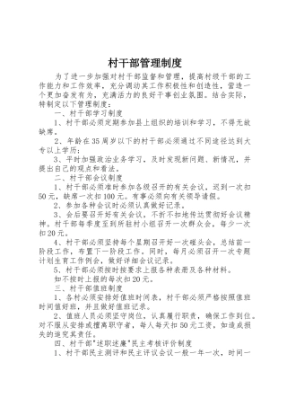 村干部管理规章制度 (18)