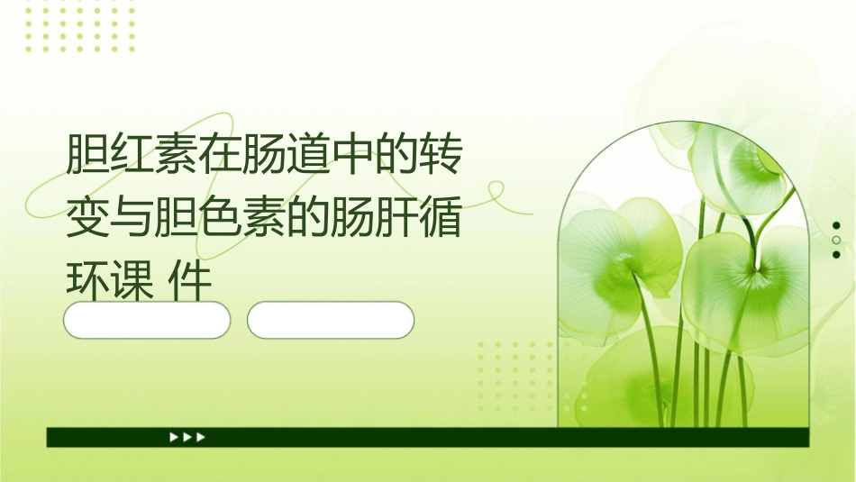 胆红素在肠道中的转变与胆色素的肠肝循环课件_第1页