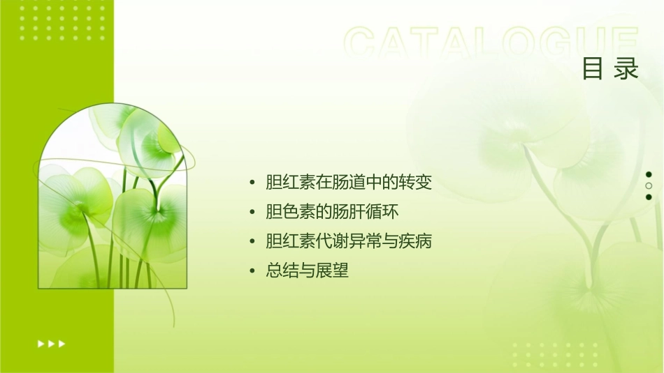 胆红素在肠道中的转变与胆色素的肠肝循环课件_第2页