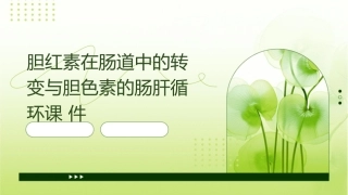 胆红素在肠道中的转变与胆色素的肠肝循环课件