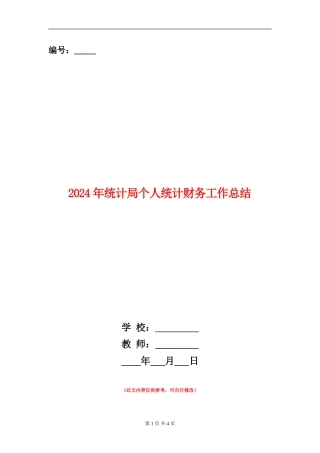 2024年统计局个人统计财务工作总结