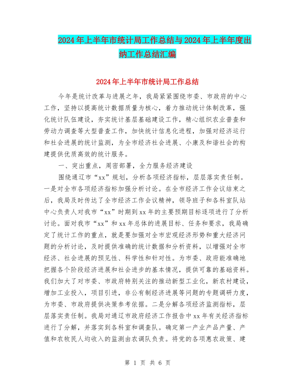 2024年上半年市统计局工作总结与2024年上半年度出纳工作总结汇编_第1页