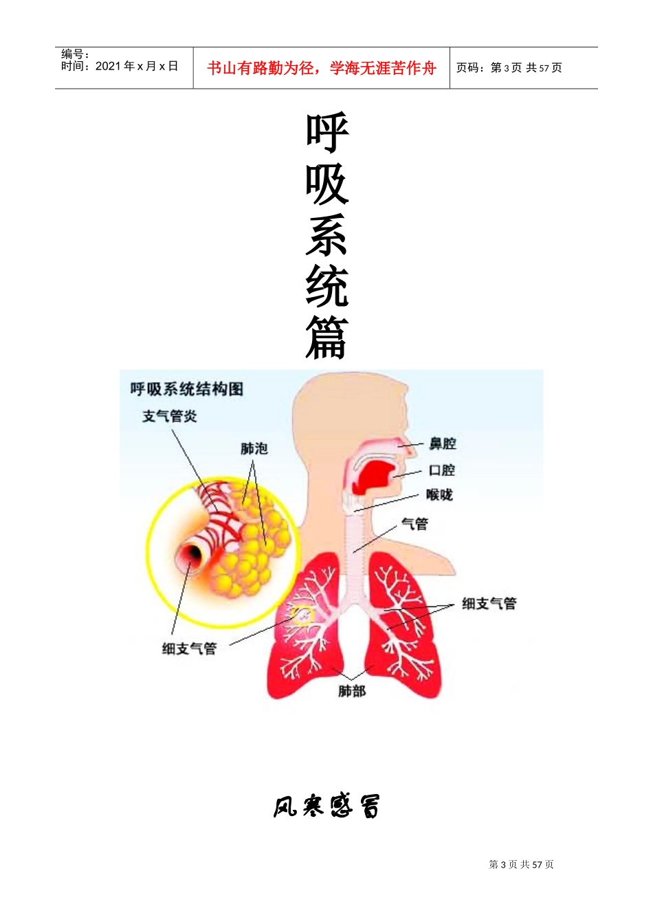 药店员工专业知识学习手册(DOC57页)_第3页