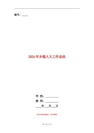 2024年乡镇人大工作总结