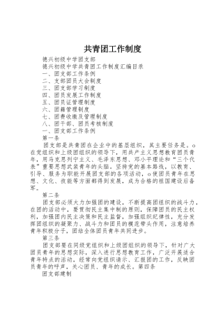共青团工作规章制度 