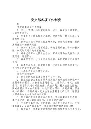 党支部各项工作规章制度 