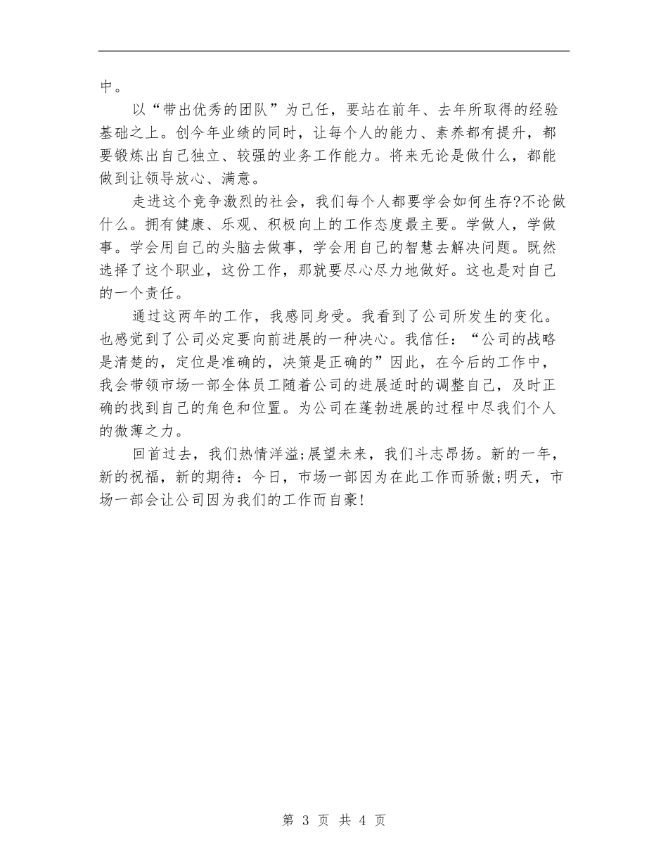 销售总监2024年终个人工作总结_第3页