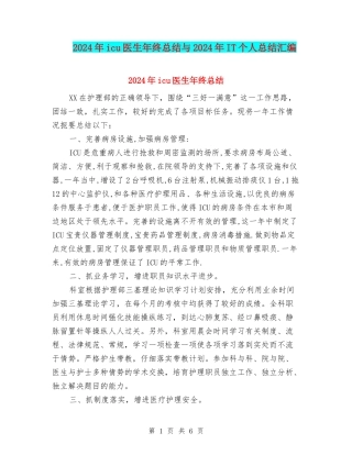 2024年icu医生年终总结与2024年IT个人总结汇编