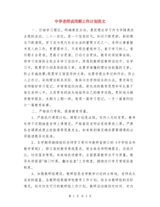中学教师试用期工作计划范文