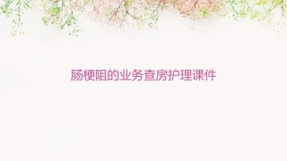 肠梗阻的业务查房护理课件