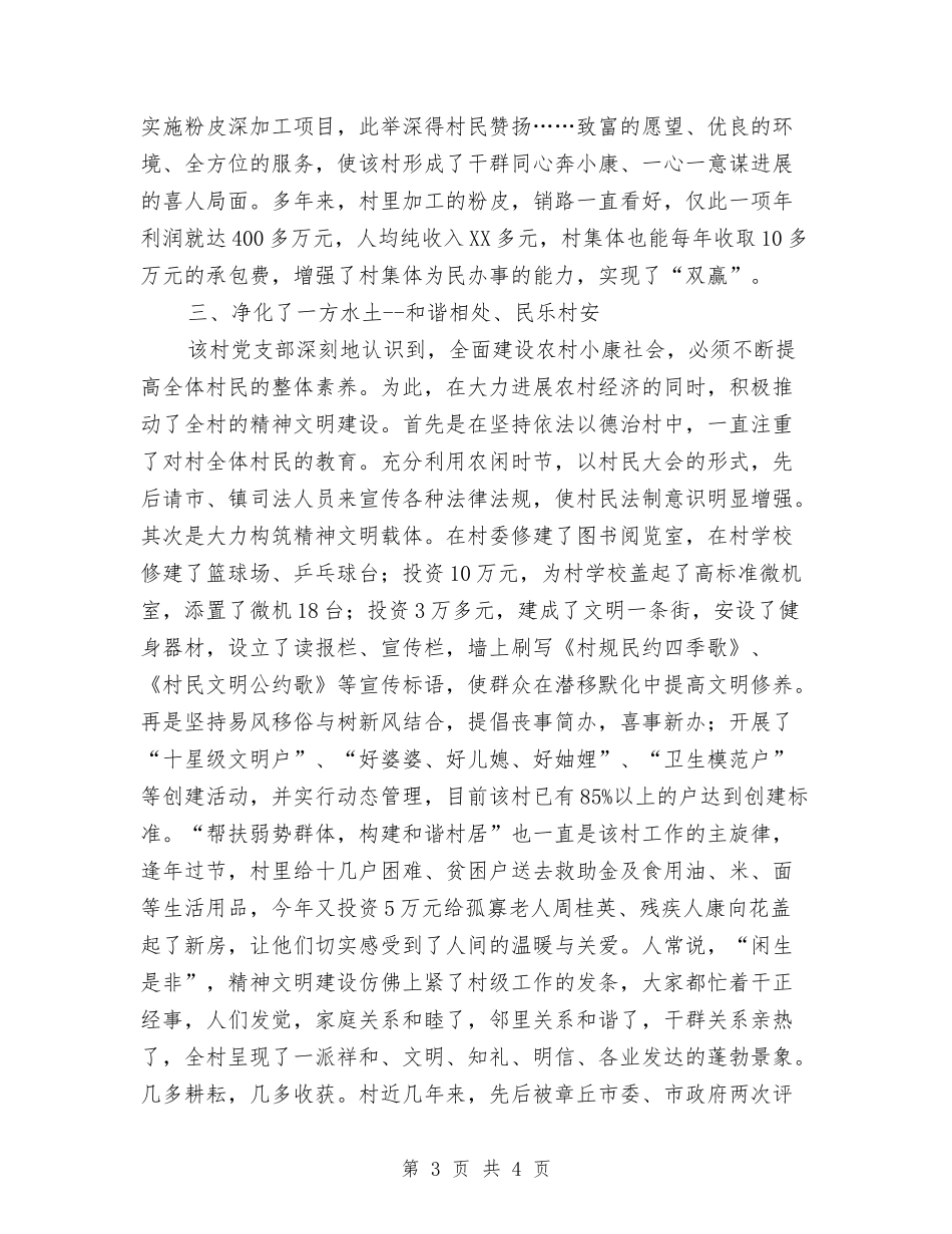 乡镇优秀党支部经验材料_第3页