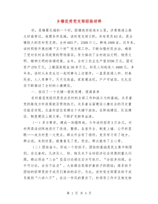 乡镇优秀党支部经验材料