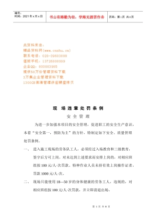 现场违章处罚制度