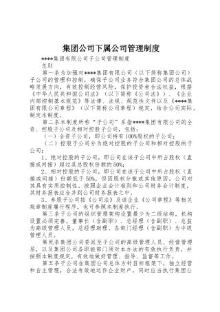 集团公司下属公司管理规章制度 