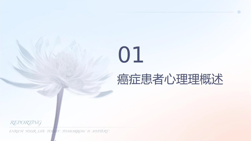 癌症患者心理护理课件_第3页