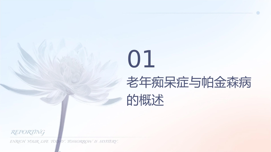 老年痴呆症帕金森病诊治护理课件_第3页