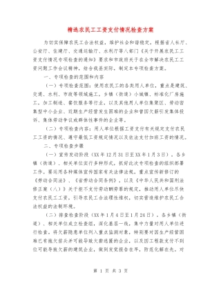 农民工工资支付情况检查方案