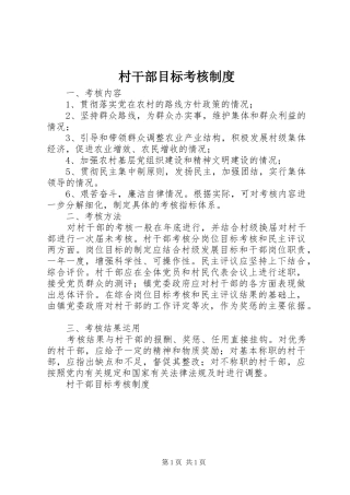 村干部目标考核规章制度细则