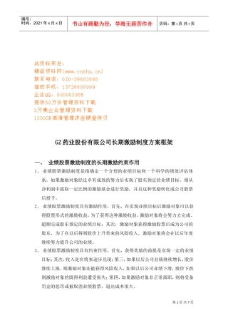 某某公司长期激励制度方案框架