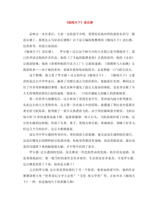 《独闯天下》读后感 