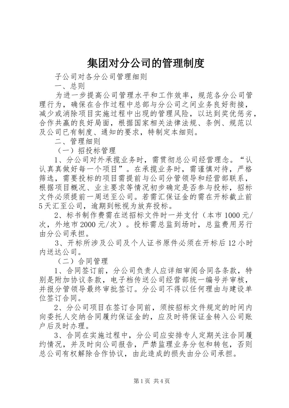 集团对分公司的管理规章制度细则_第1页