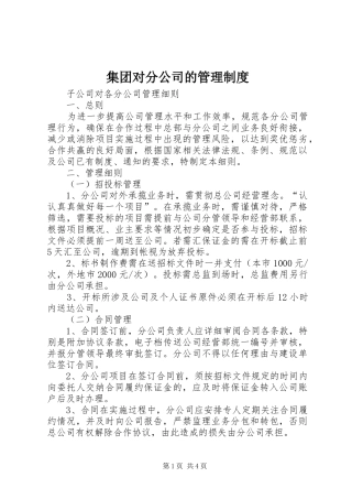集团对分公司的管理规章制度细则