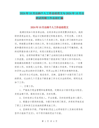 2024年10月出纳个人工作总结范文与2024年10月出纳试用期工作总结汇编