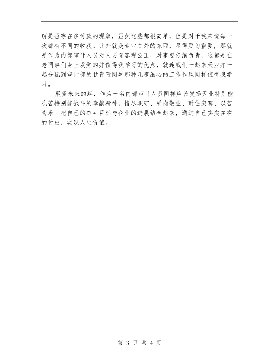 精选内部审计工作总结模板_第3页