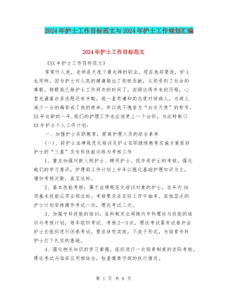 2024年护士工作目标范文与2024年护士工作规划汇编