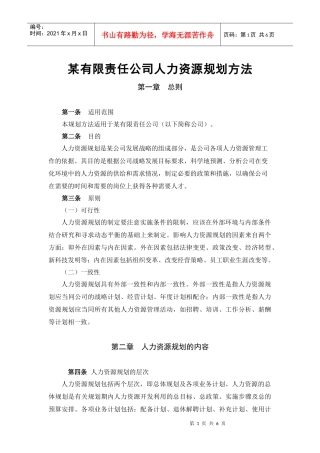 某有限责任公司人力资源规划方法