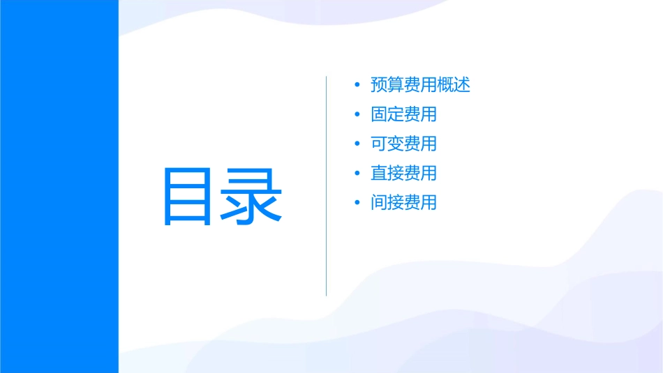 预算费用性质划分课件_第2页