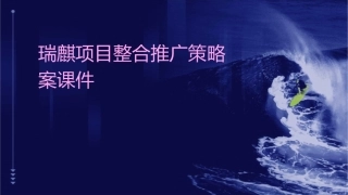 瑞麒项目整合推广策略案课件