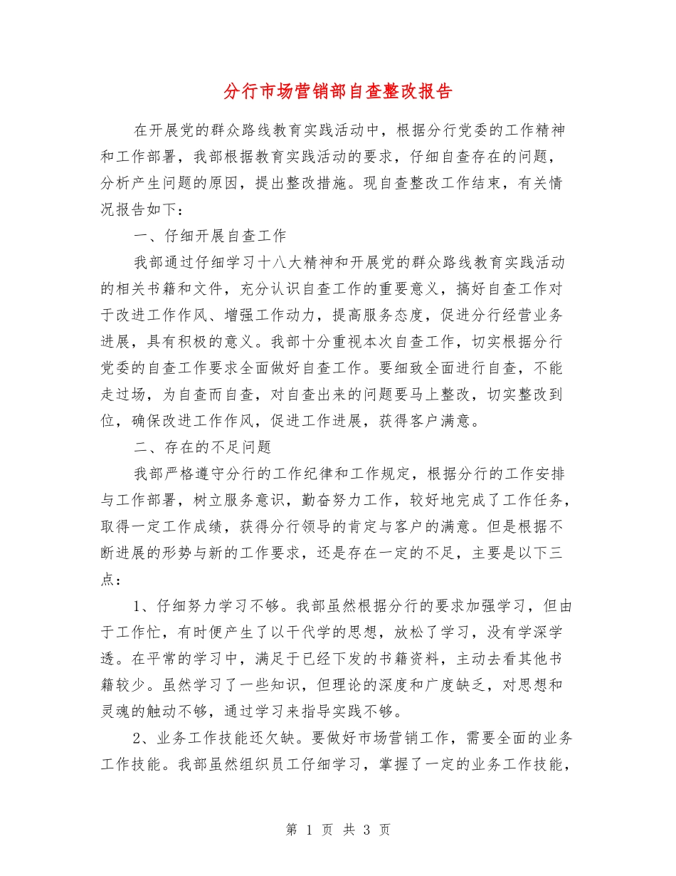 分行市场营销部自查整改报告_第1页