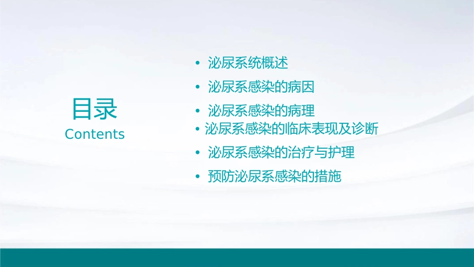 泌尿系统疾病泌尿系感染的病因病理及临床诊疗护理课件_第2页